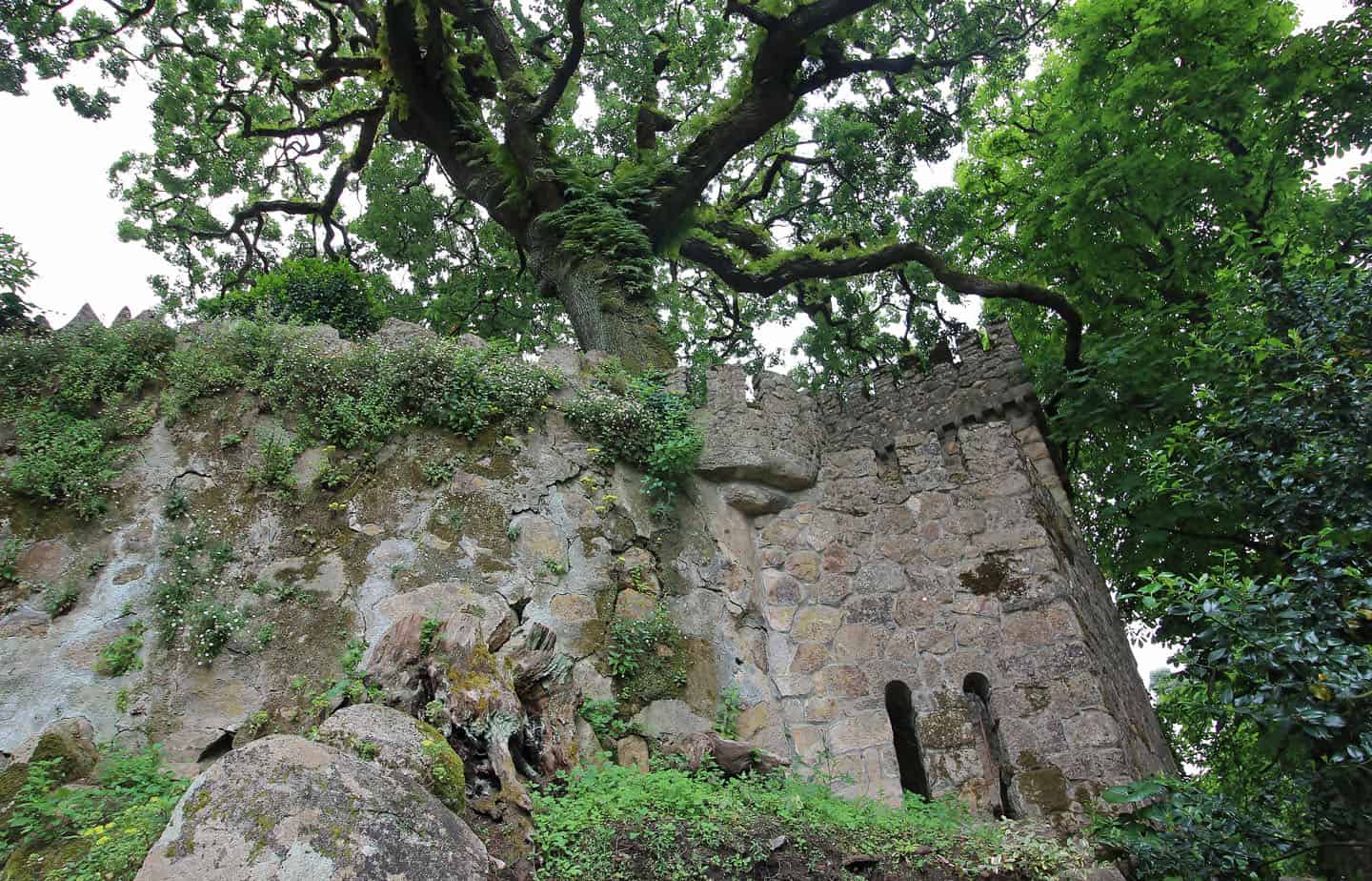 Quinta da Regaleira met kinderen portugal