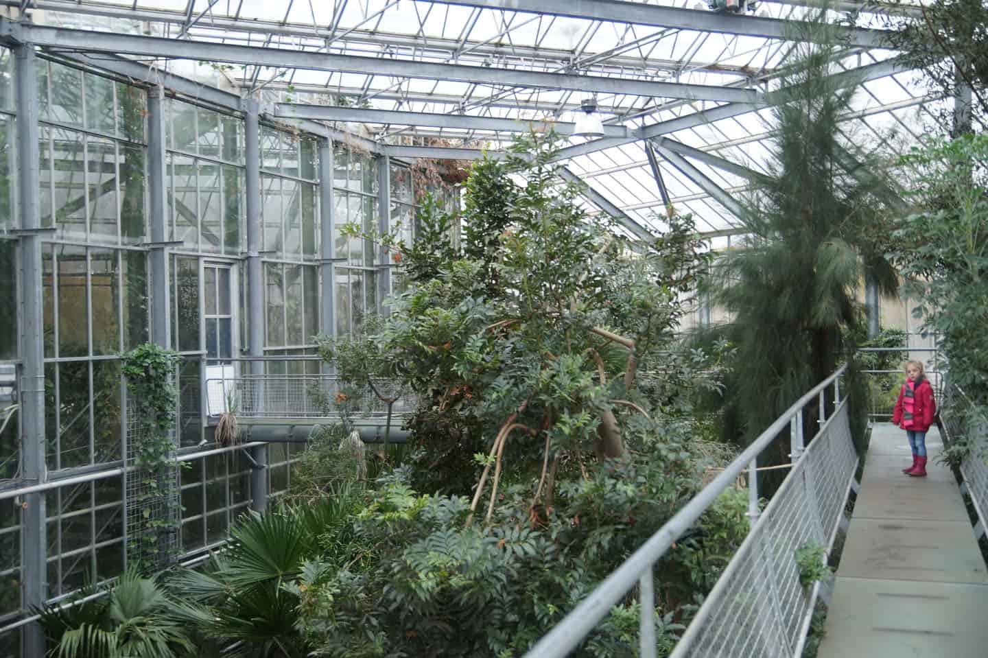 hortus botanicus amsterdam