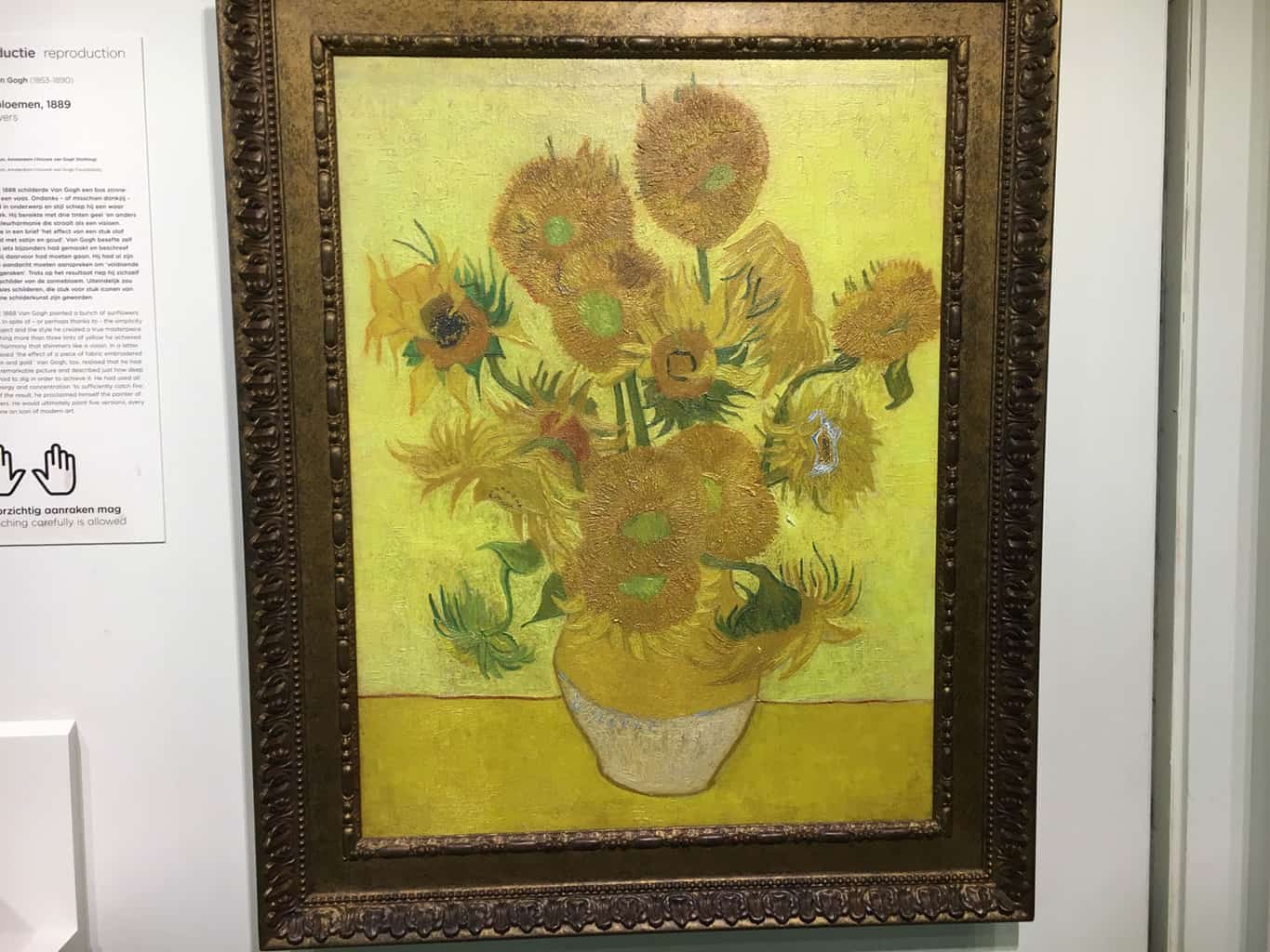 van gogh museum amsterdam