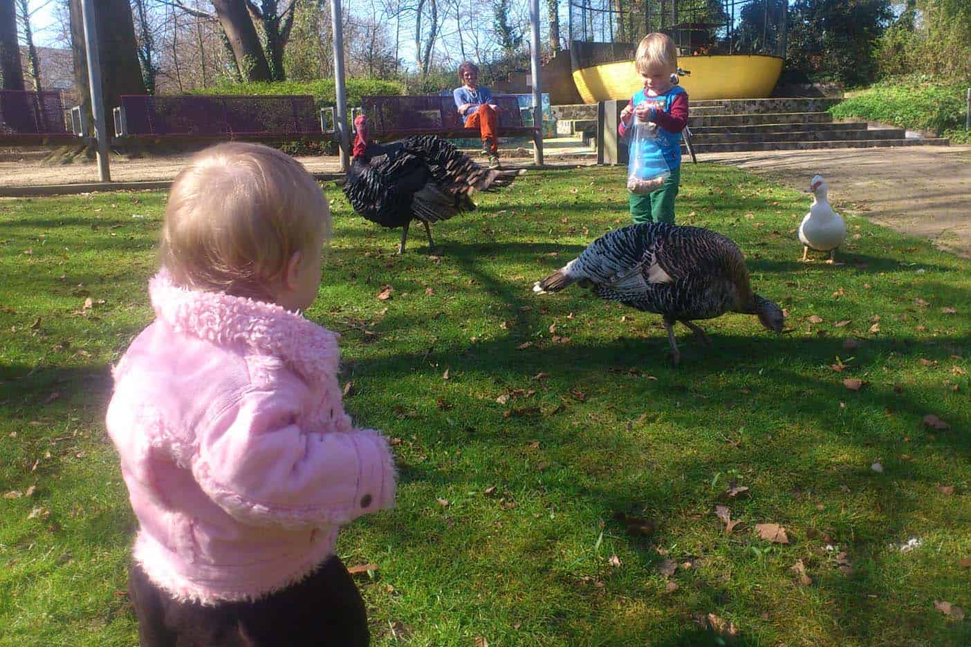 Wat te doen in Deventer met kinderen Gezin op Reis Wat te doen in Deventer met kinderen Gezin op Reis