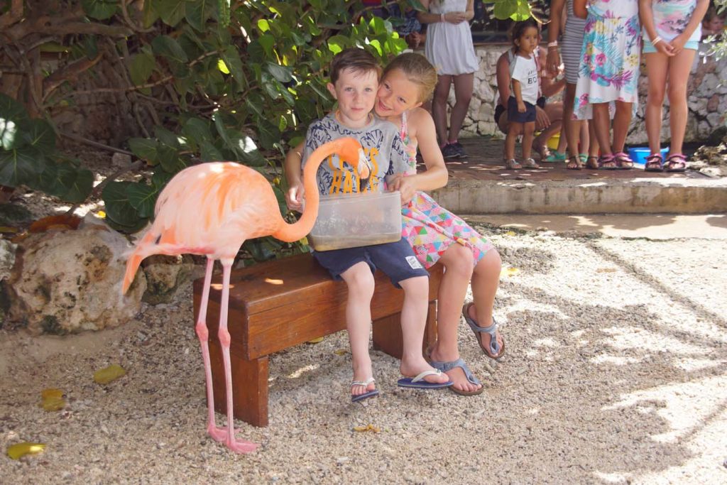 Curacao sea aquarium met kinderen