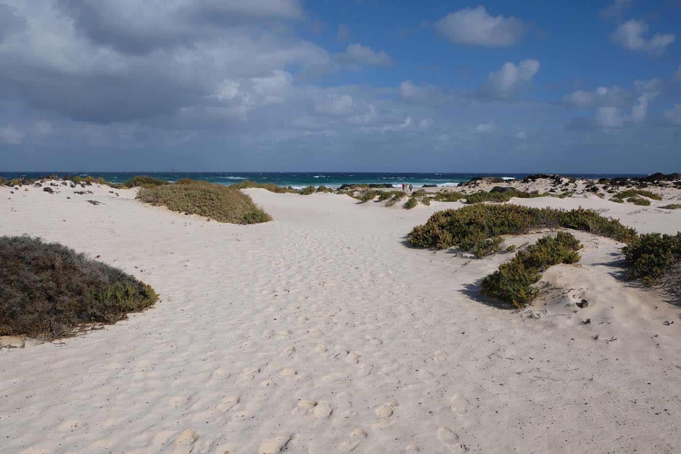 Mojon Blanca  beach lanzarote