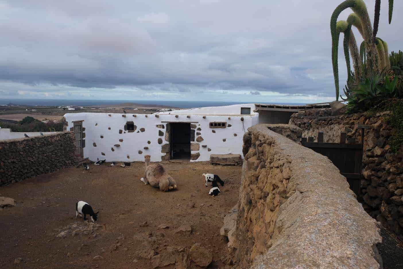 boerderijmuseum lanzarote