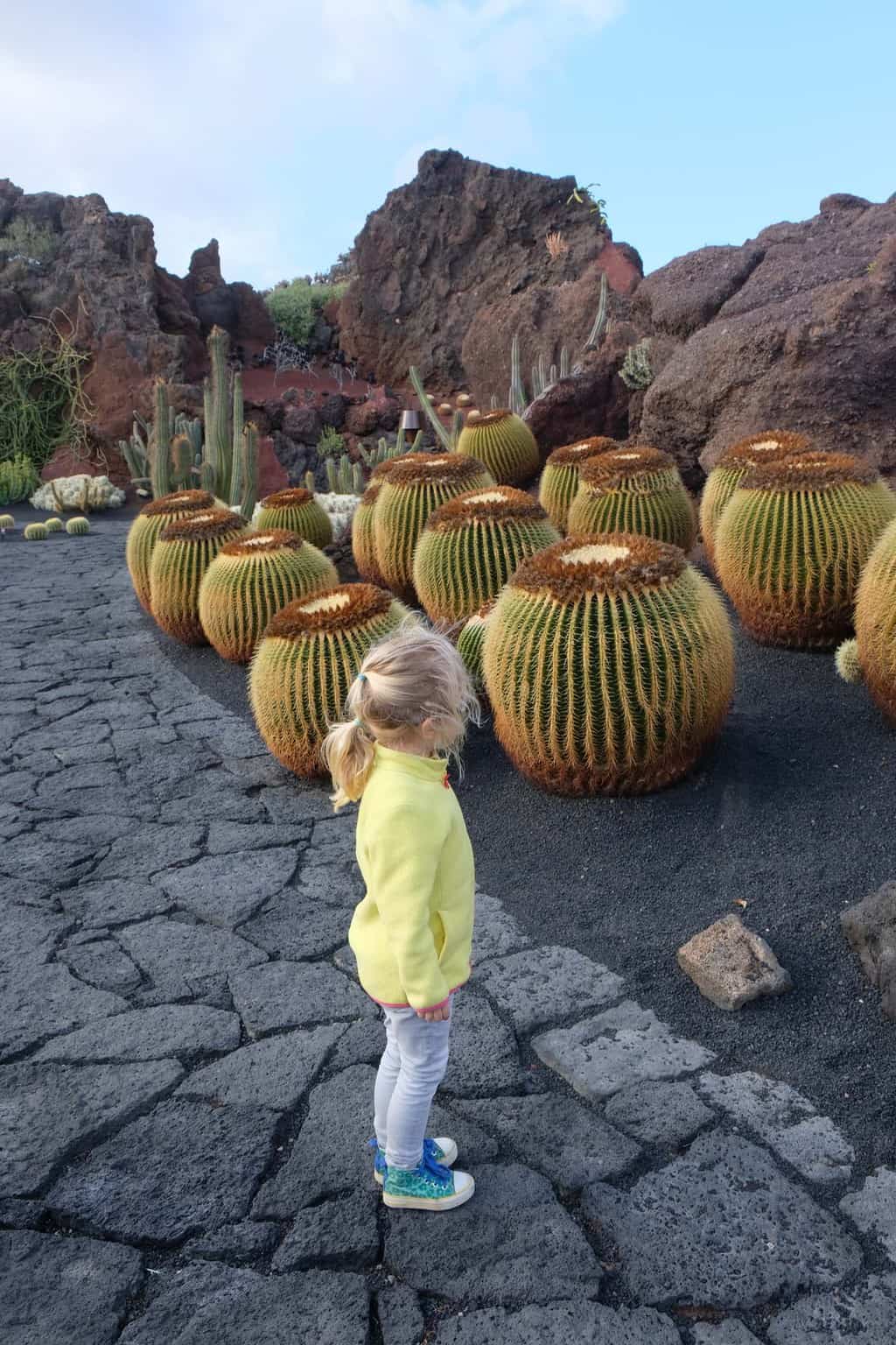 cactustuin lanzarote