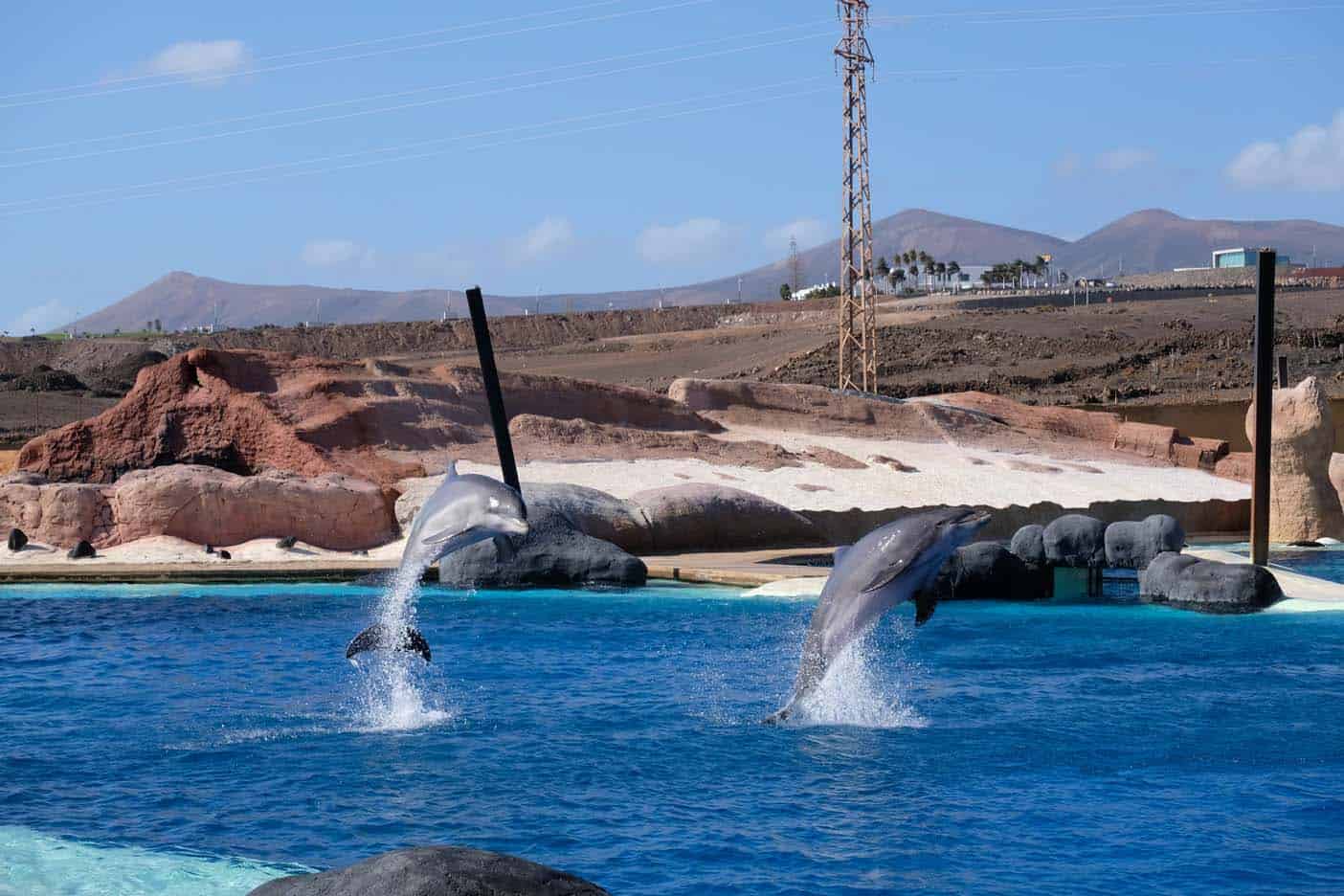 dierentuin lanzarote