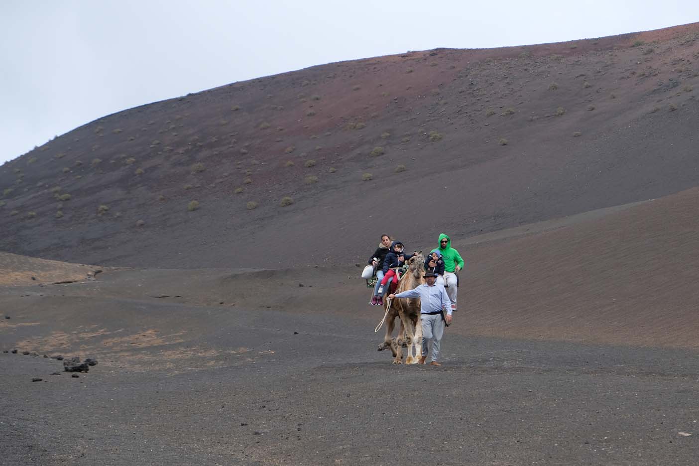 Kameel rijden Lanzarote