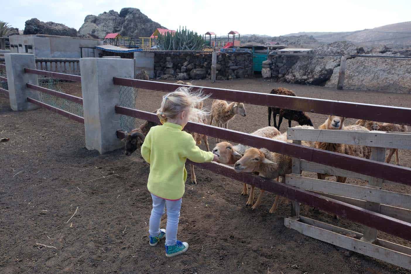 Pardelas Park, speeltuin en kinderboerderij