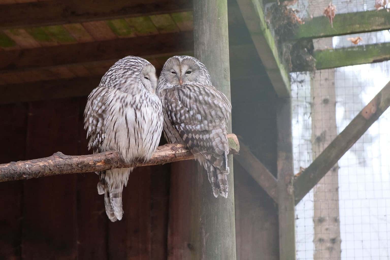 wildpark frankenhof 