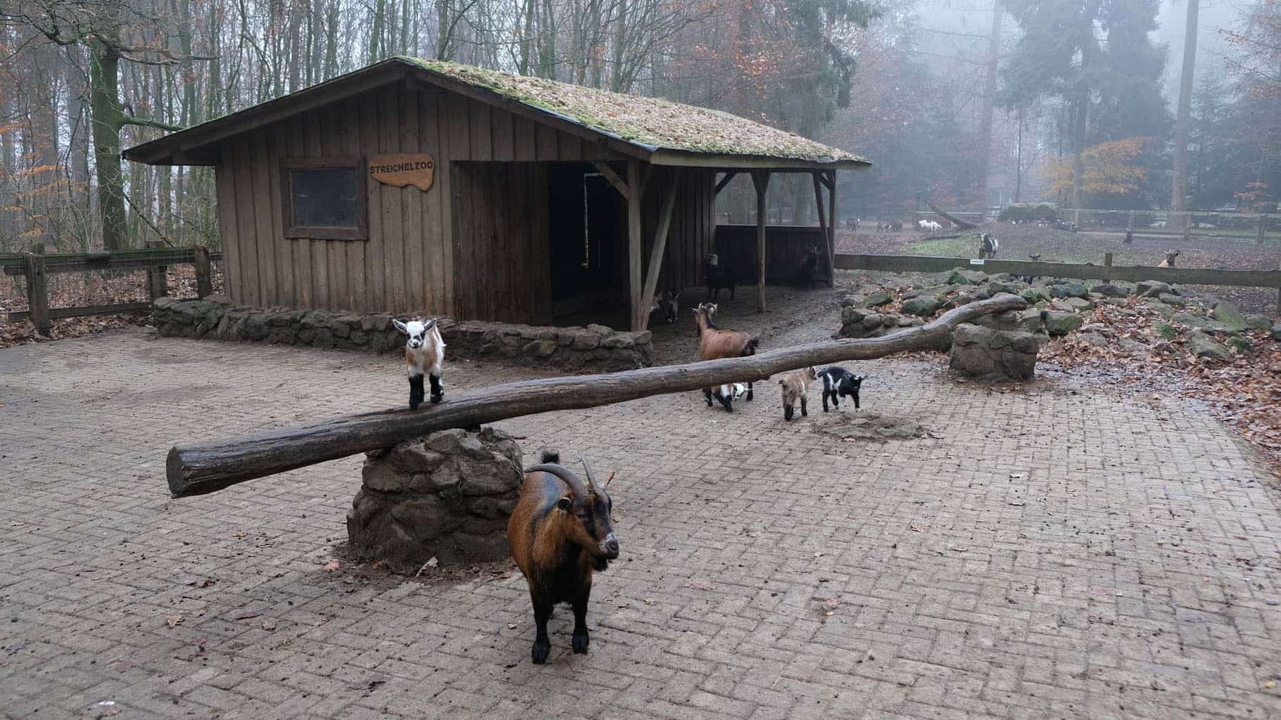 wildpark frankenhof 