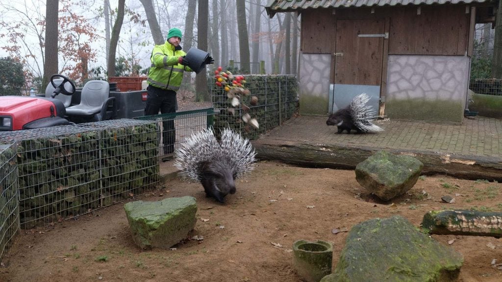 wildpark frankenhof in duitsland