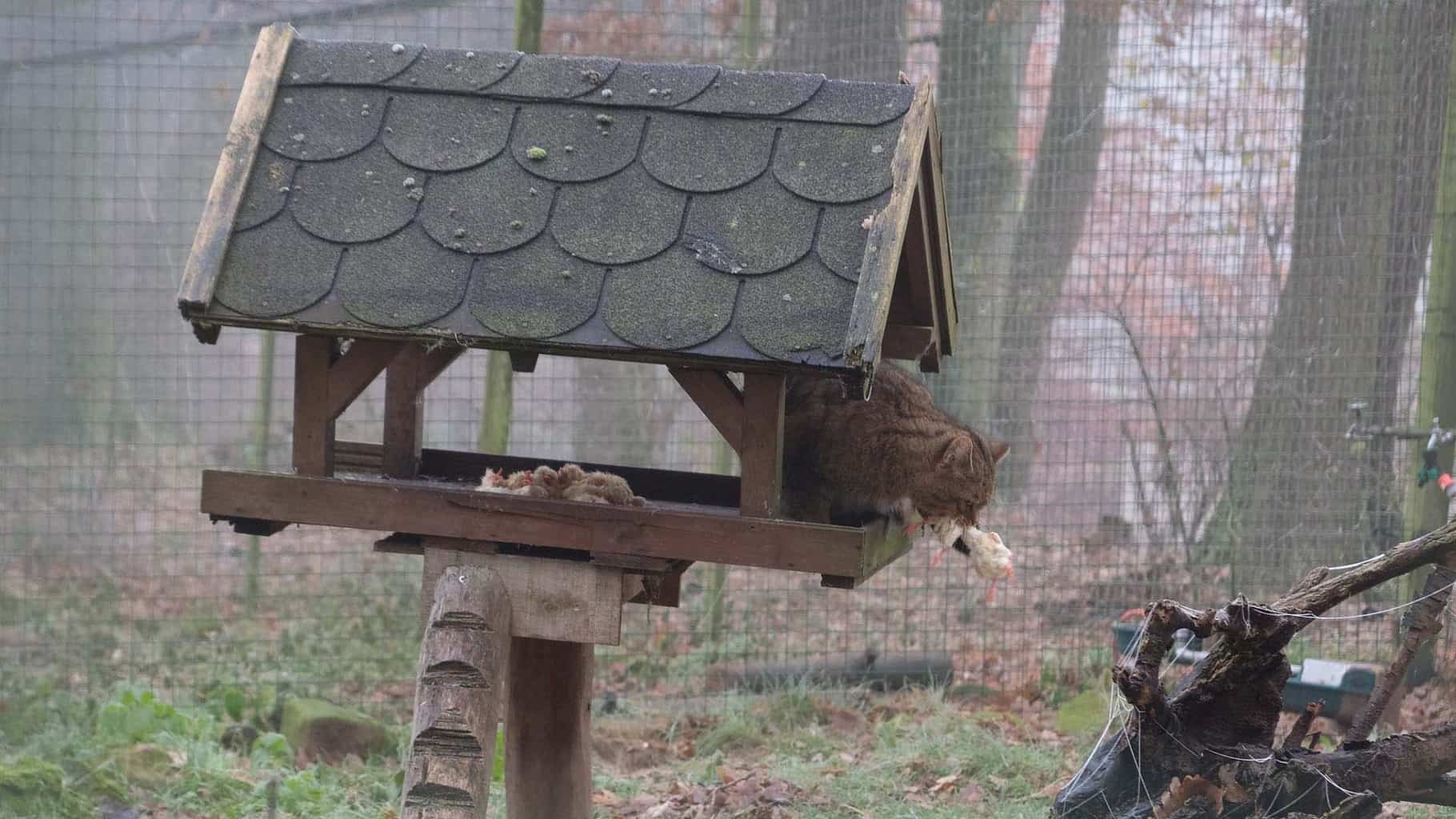 wildpark frankenhof in duitsland