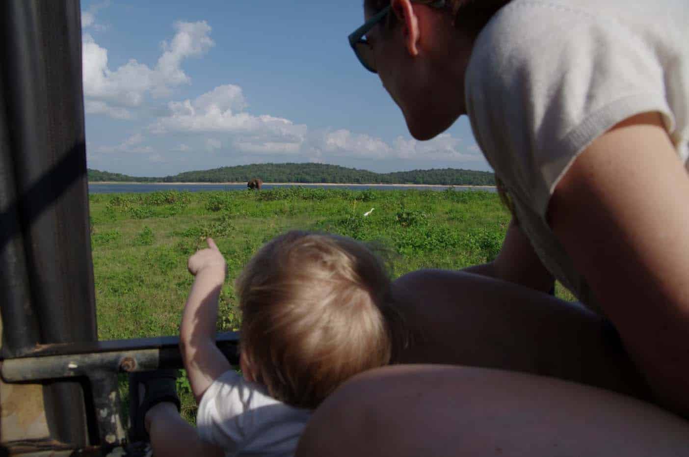 Kaudulla National Park