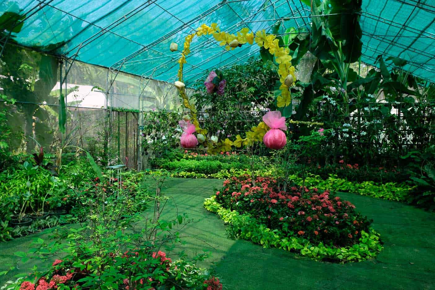 bangkok met kinderen vlindertuin