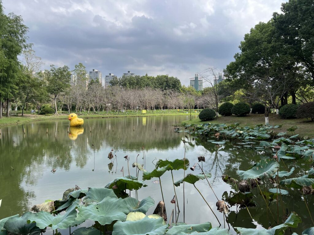 Century park