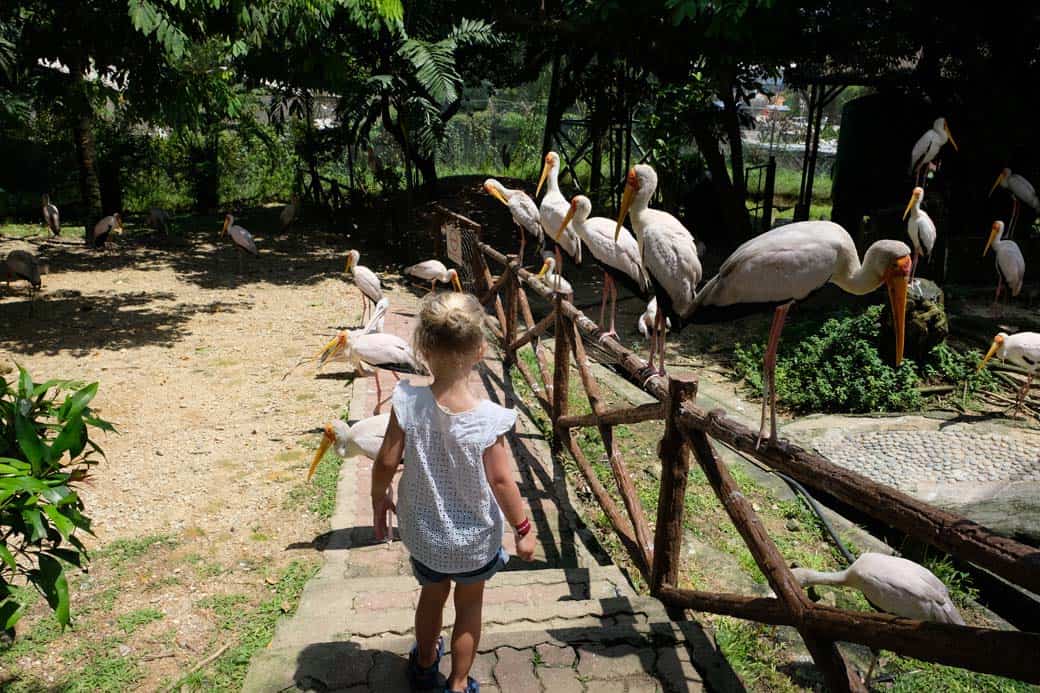 Kuala Lumpur met kinderen