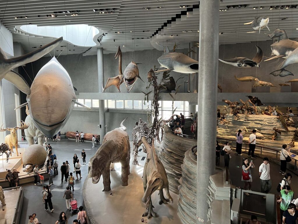 Shanghai Natural History Museum
