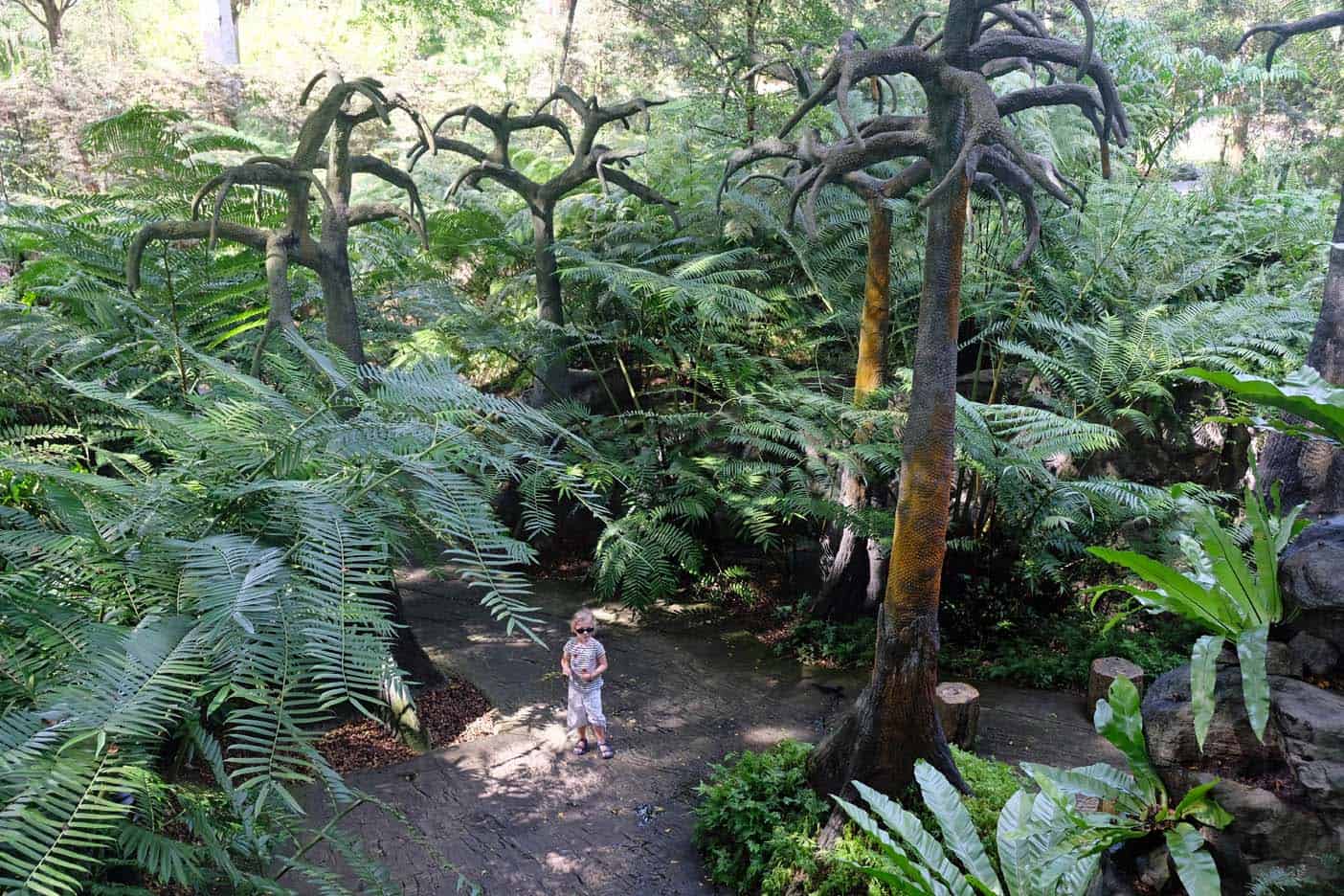 Singapore botanische tuin