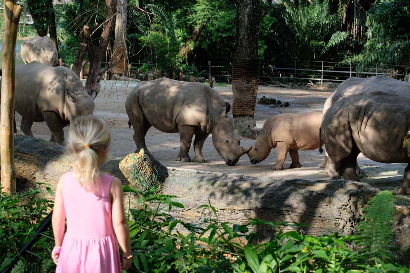 dierentuin singapore