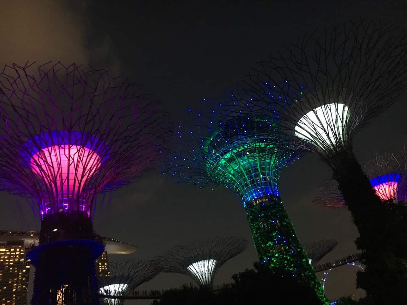 gardens by the bay