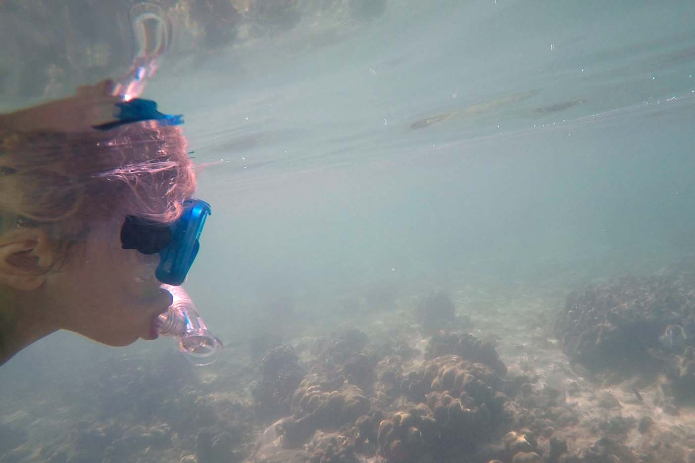 koh lipe snorkelen