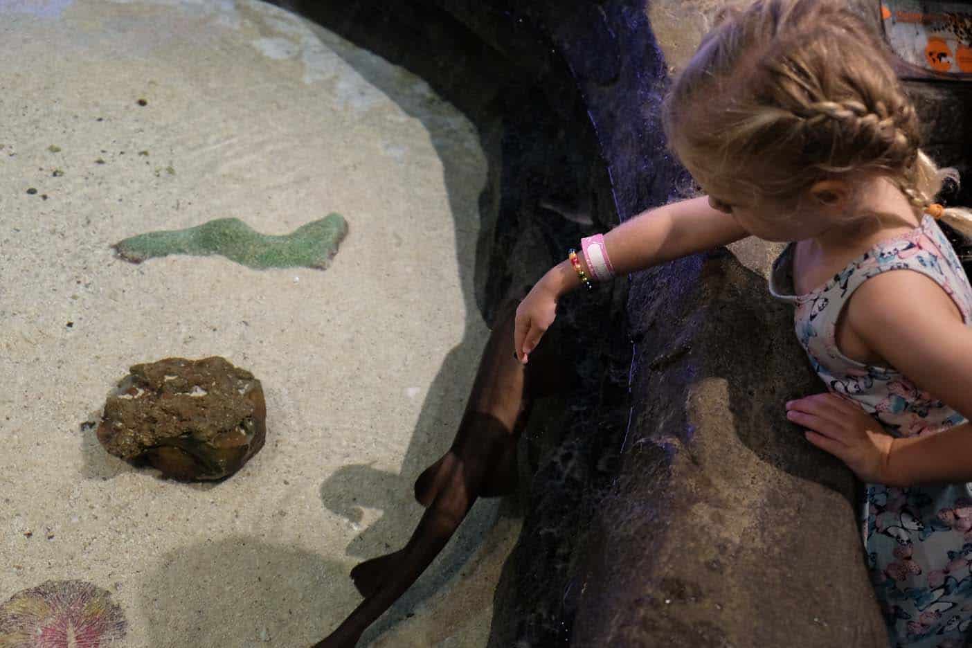 Kuala lumpur aquarium