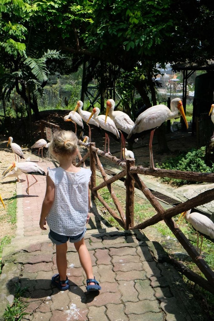 kuala lumpur vogelpark