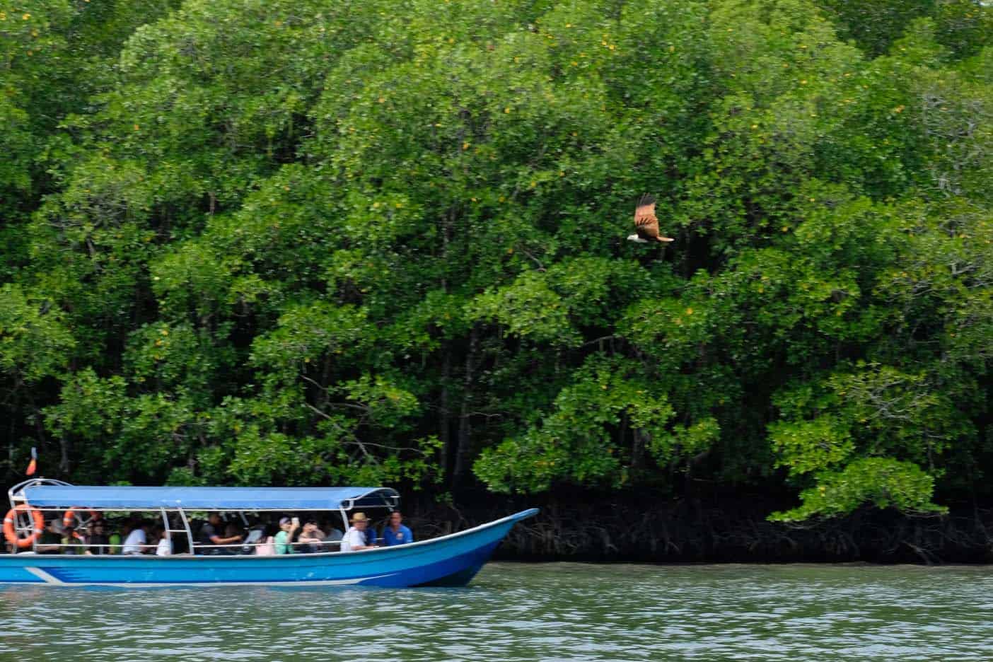 Kilim Geoforest Park