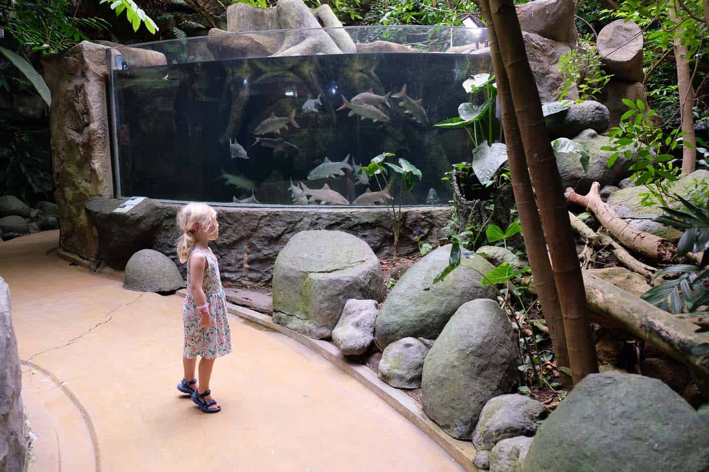 langkawi met kinderen