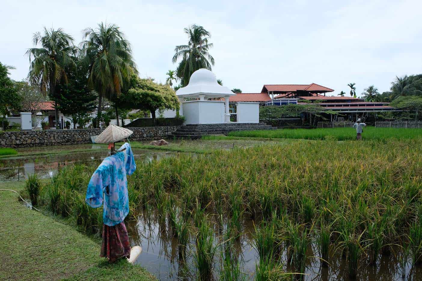 rijstmuseum langkawi