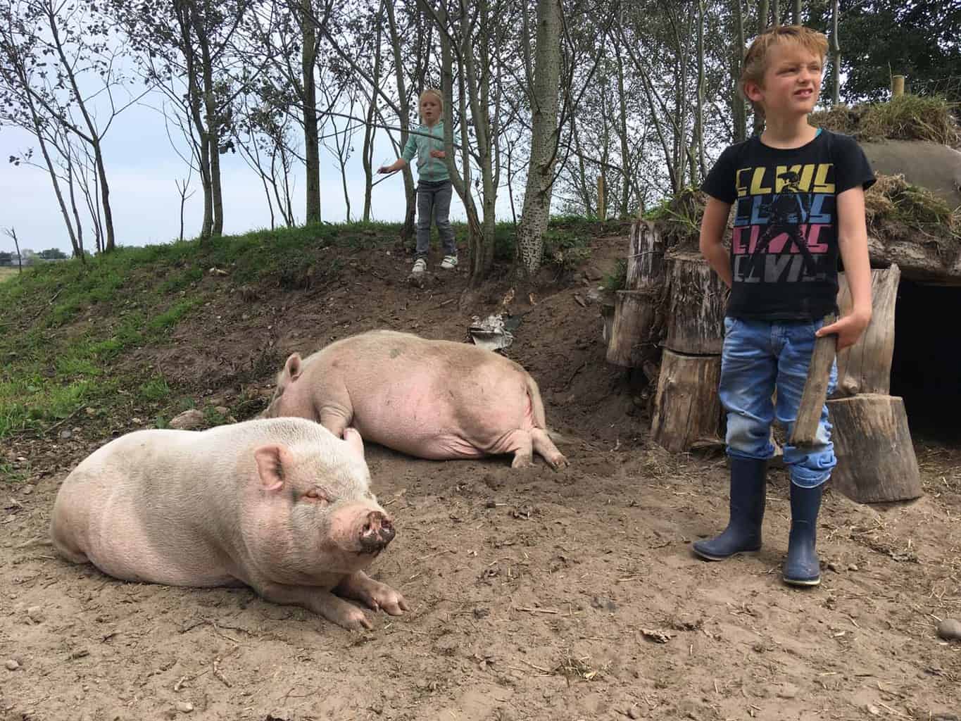 Bûtenfjild vaartocht friesland