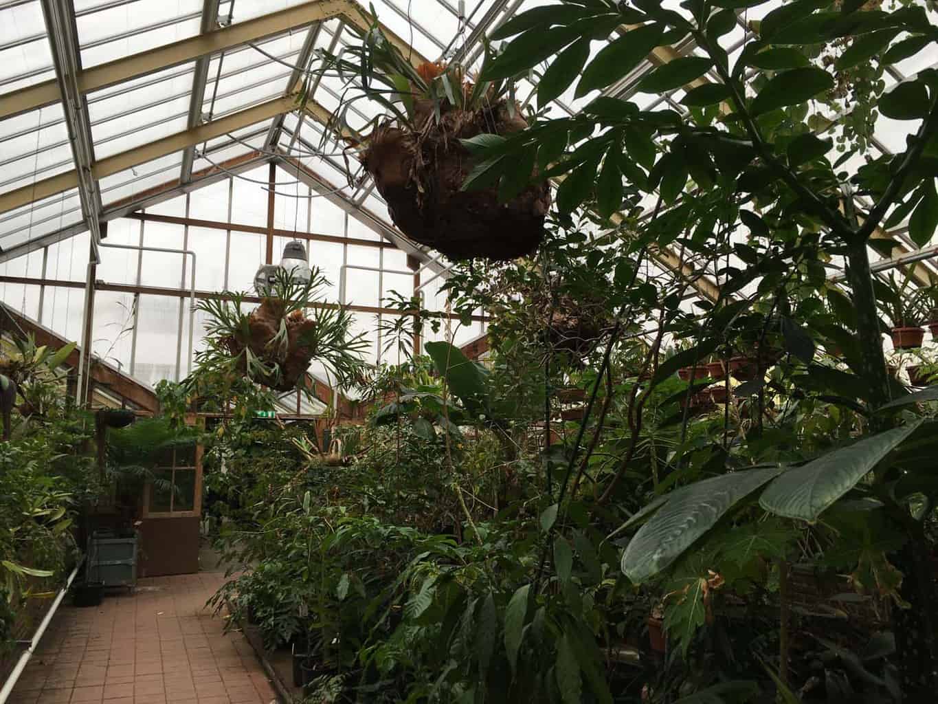 hortus leiden met kinderen