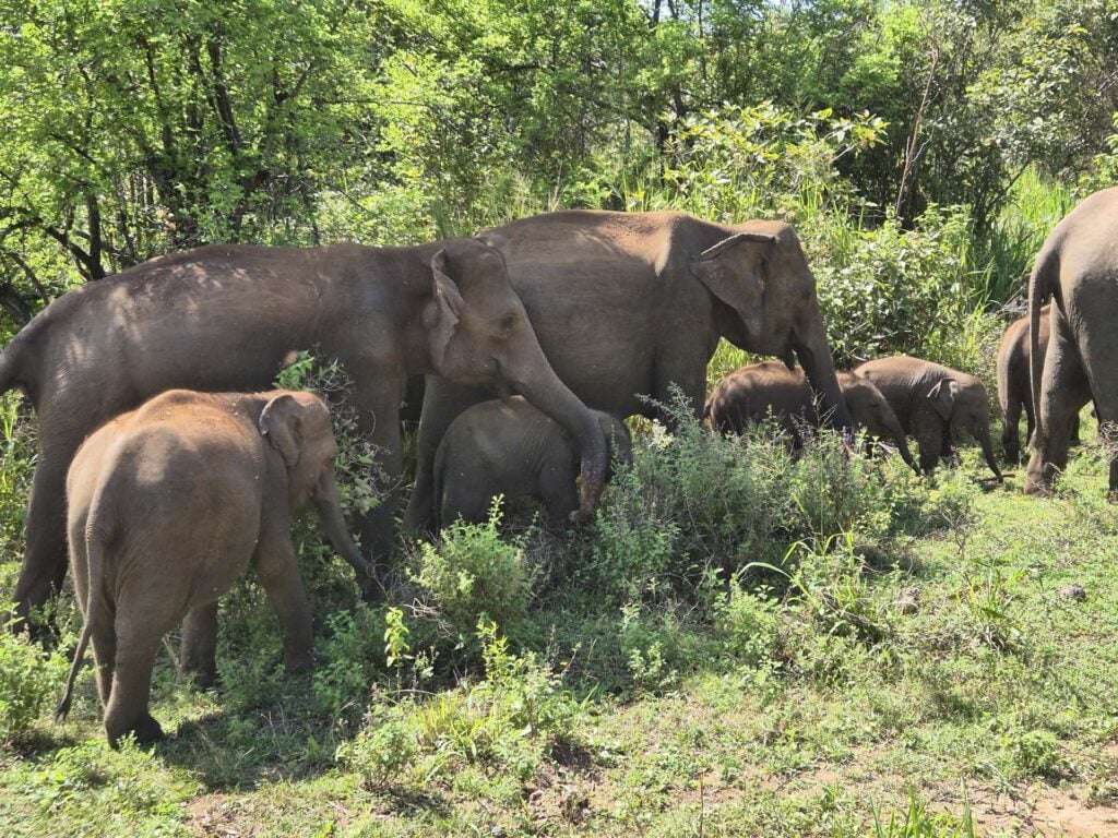 Hurululu Eco Park