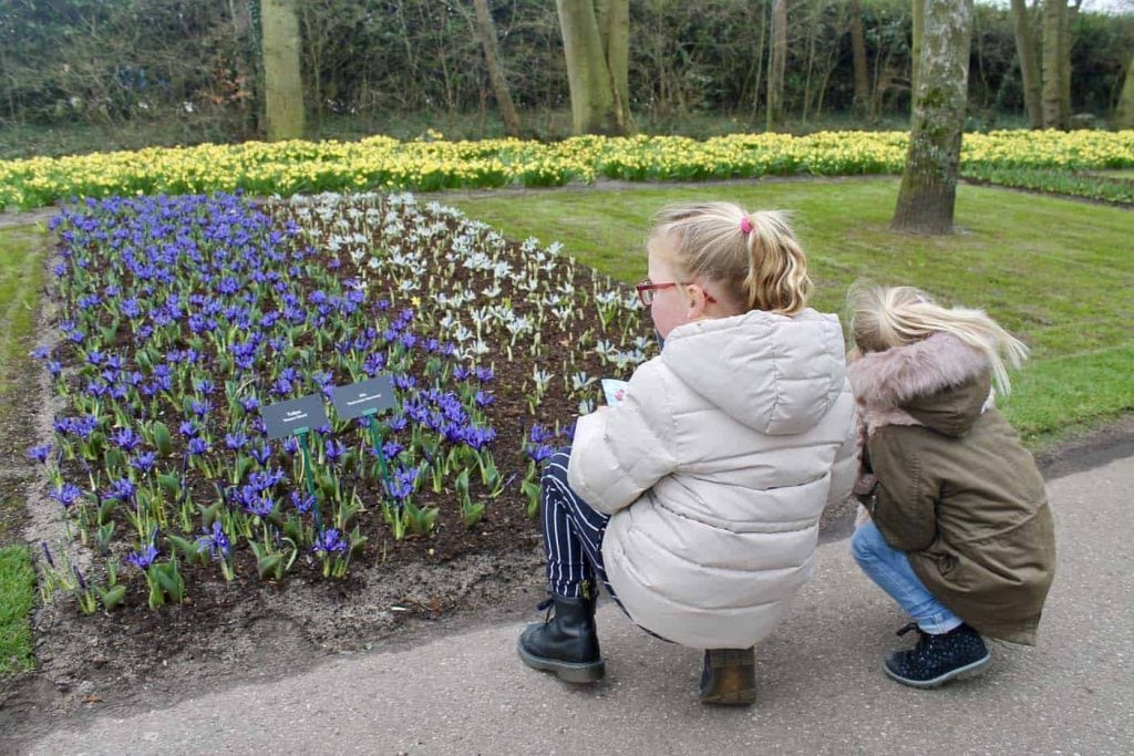 Keukenhof met kinderen