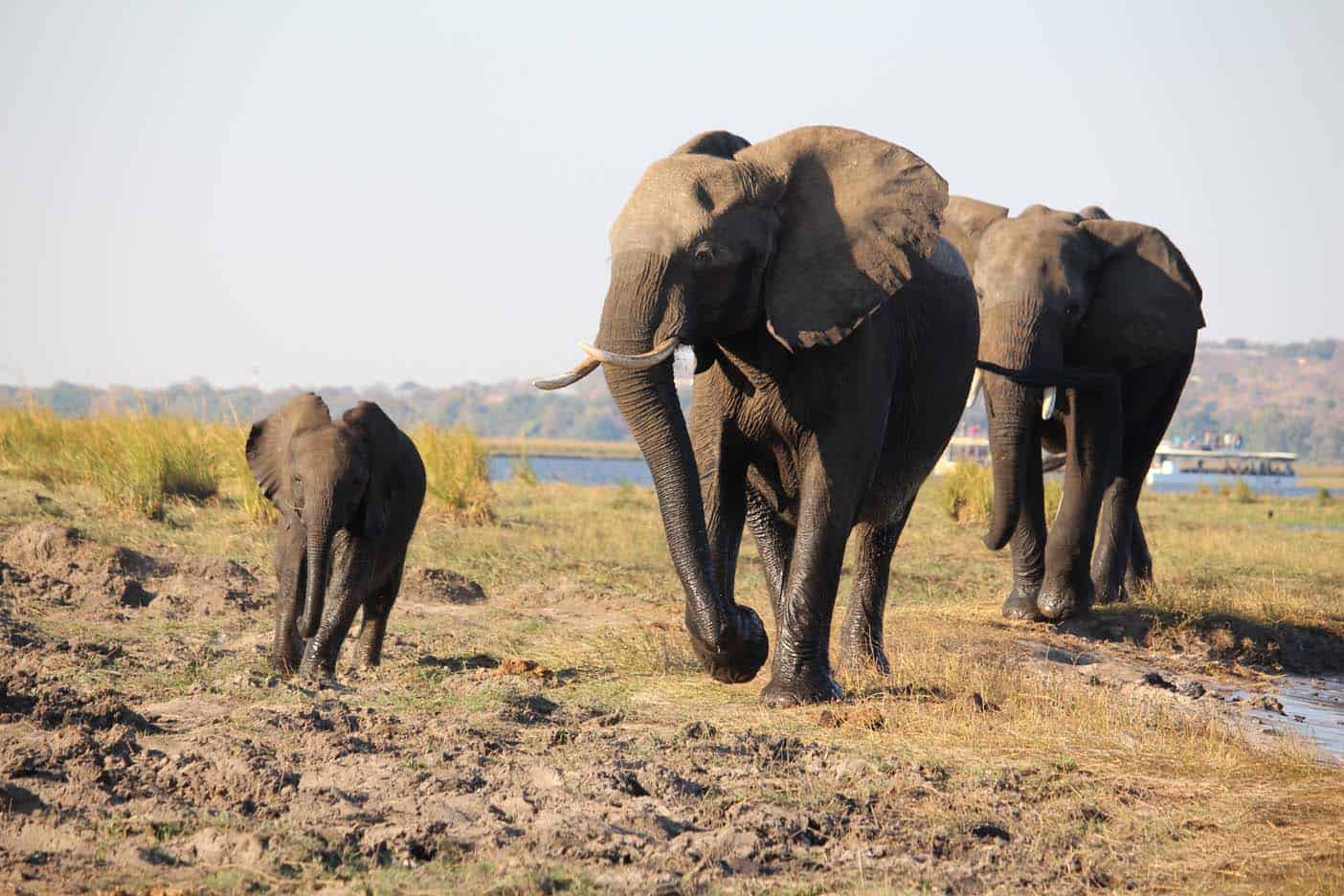 namibie met kinderen