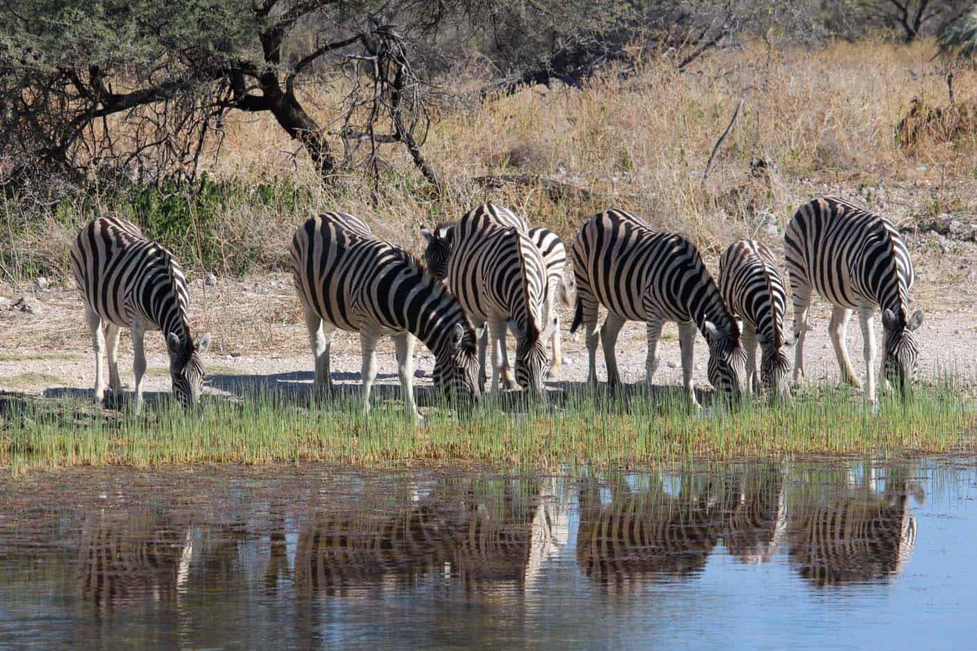 namibie met kinderen