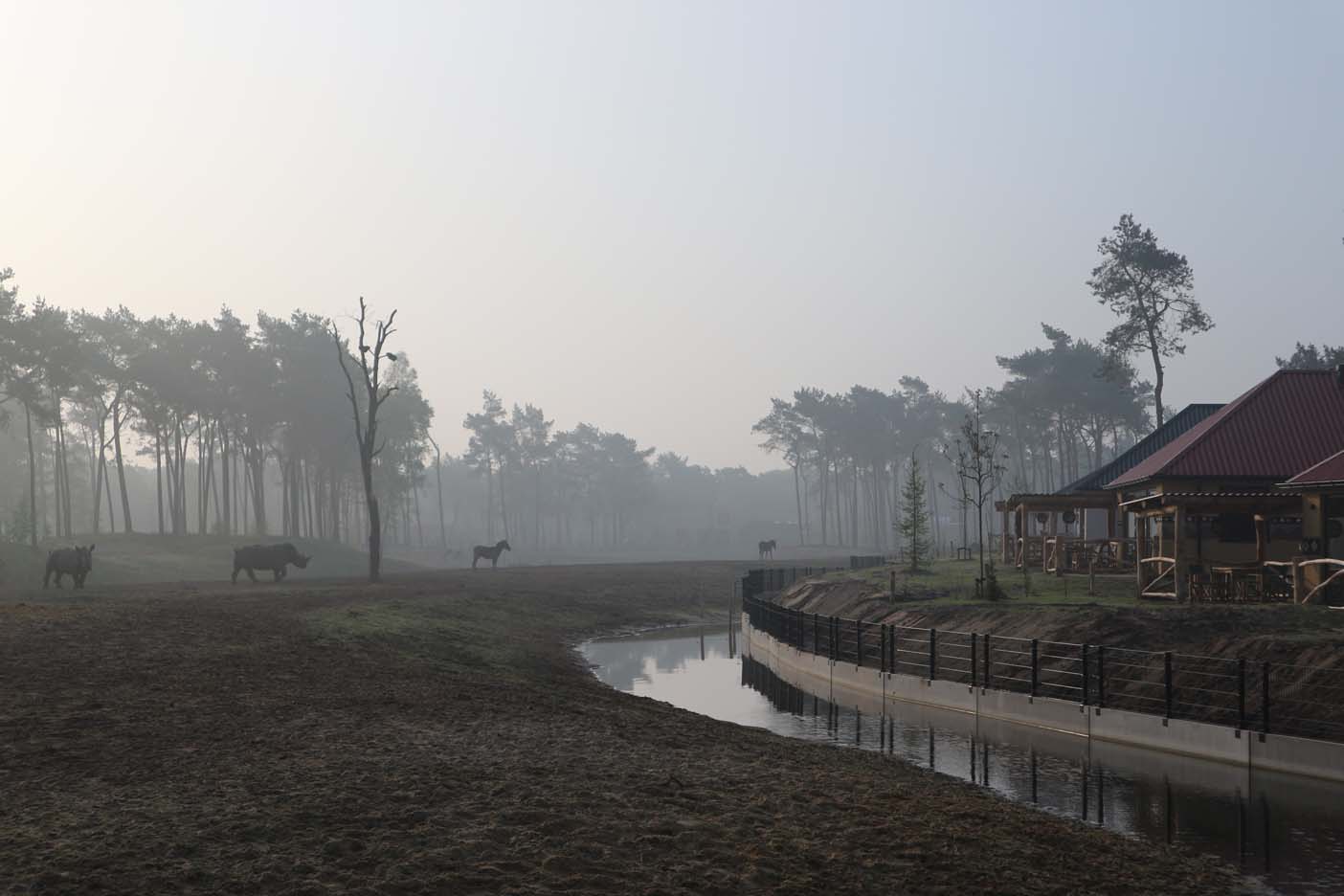 safari resort beekse bergen vroege vogel safari