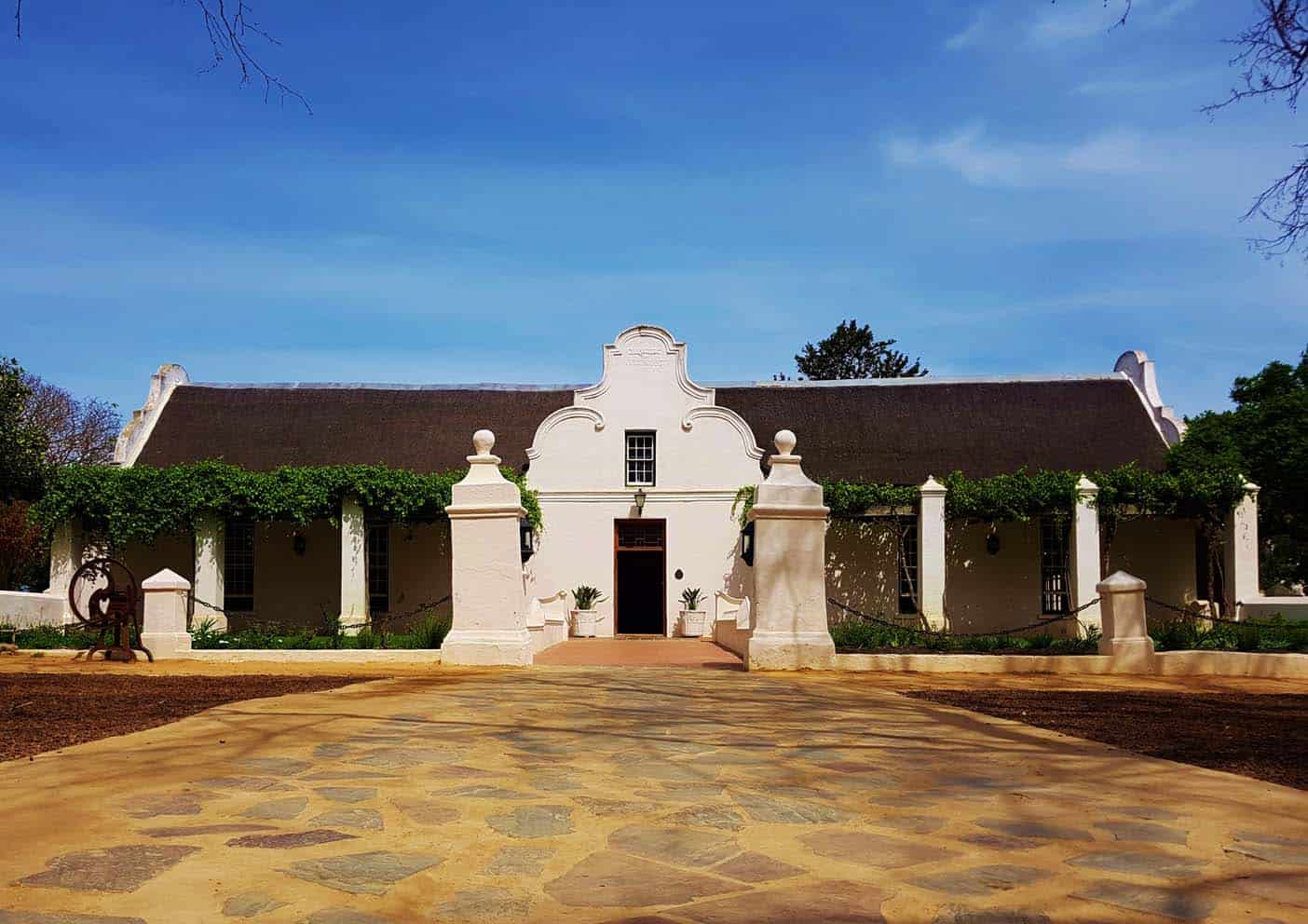 Vergenoegd Wine Estate