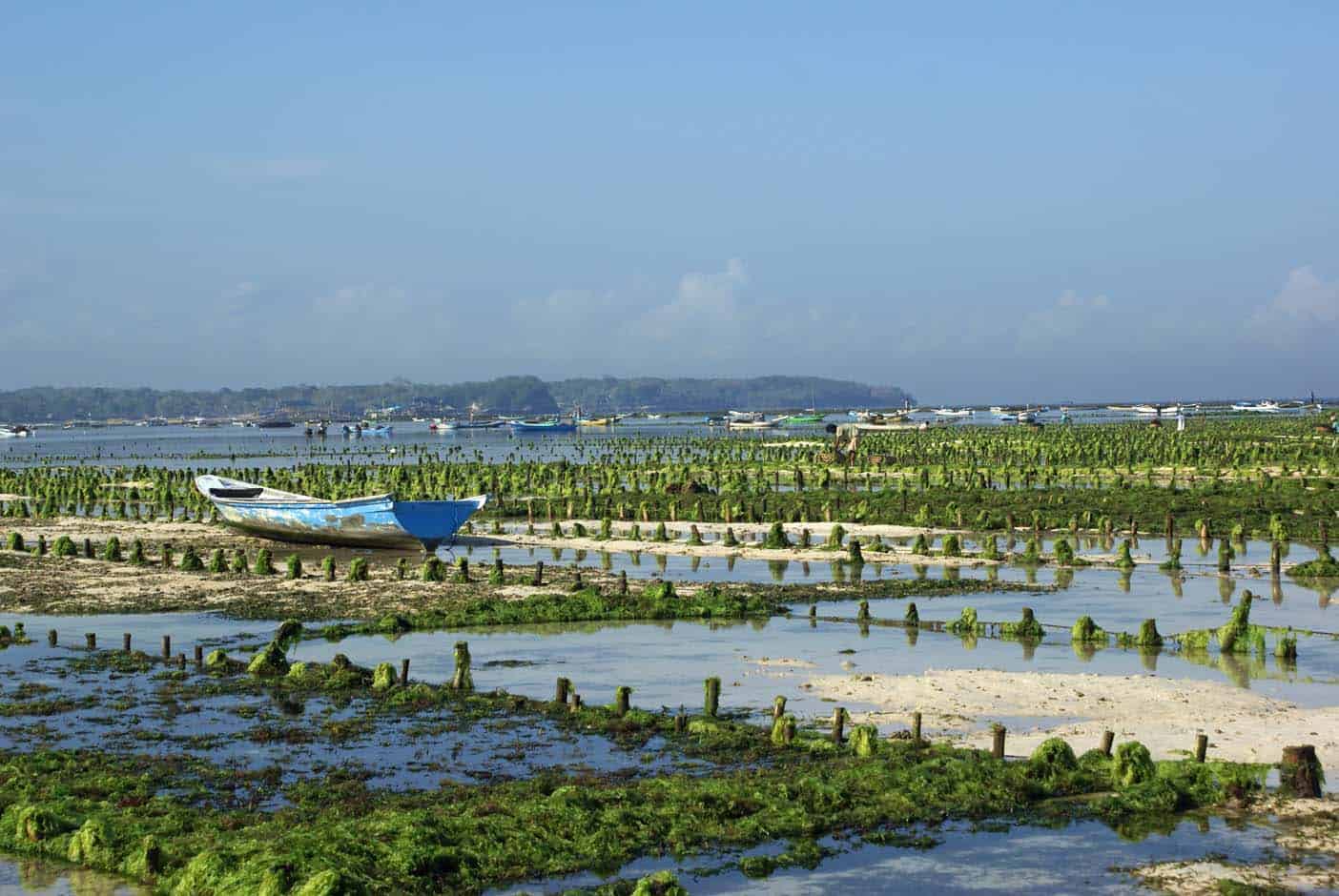 Bali met kinderen