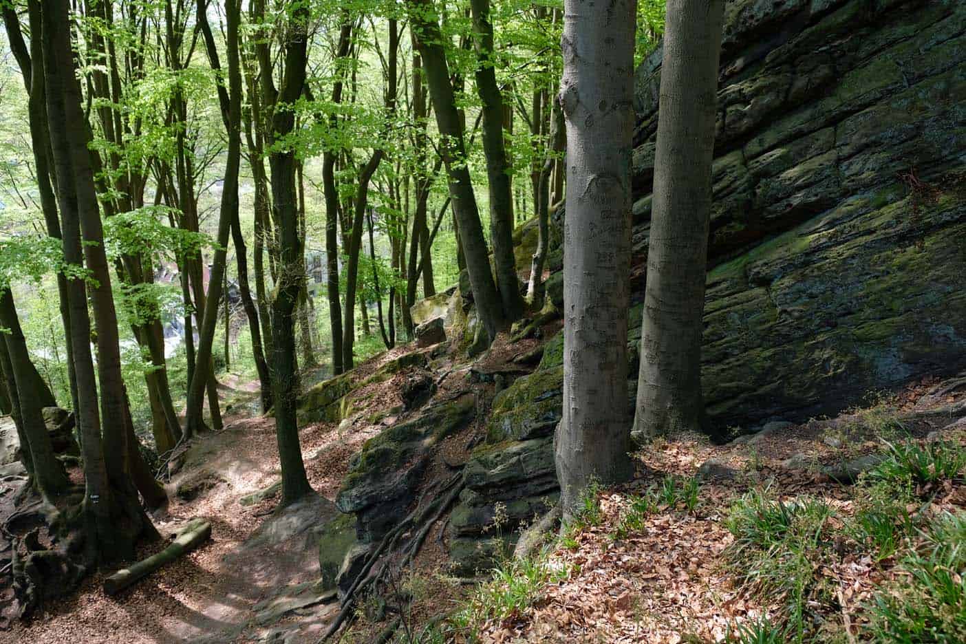 Tecklenburg wandelen heksenpad