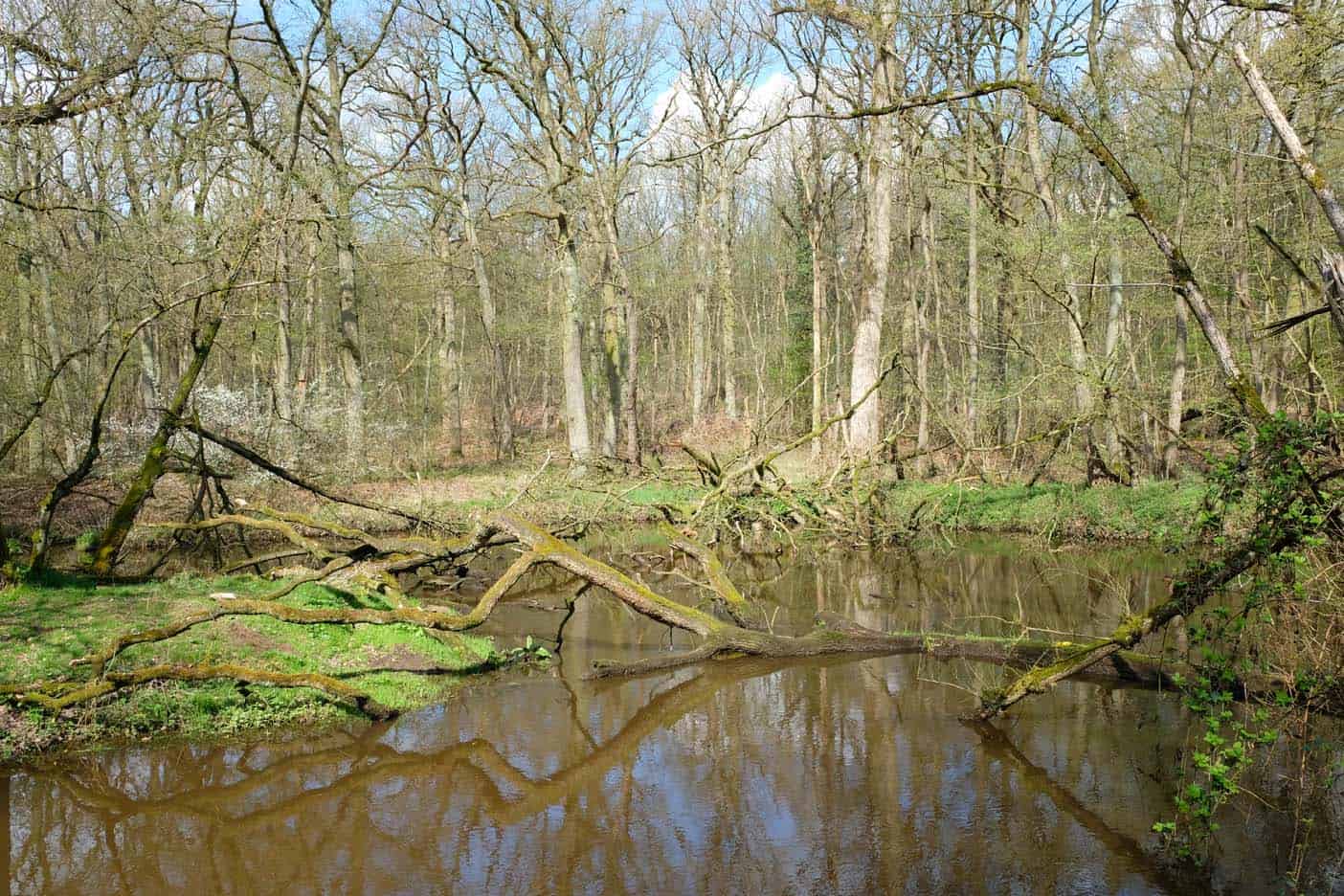 wandelen in limburg leudal