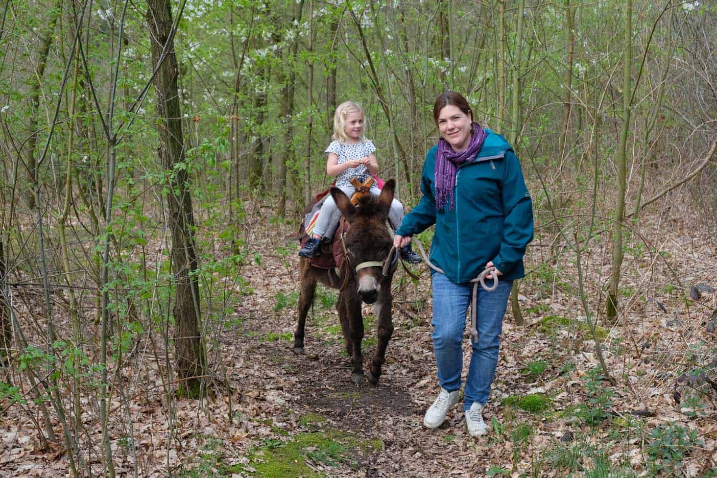 wandelen met een ezel limburg