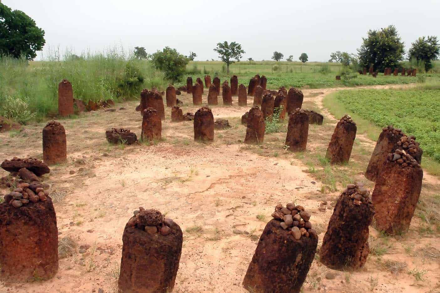 gambia