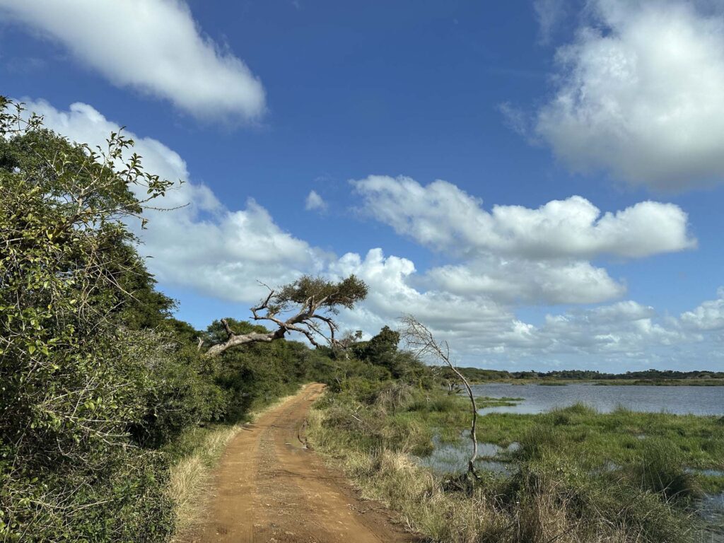 Cape Vidal eastern shores