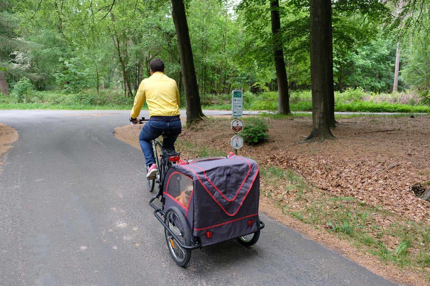 Fietsen in de westhoek