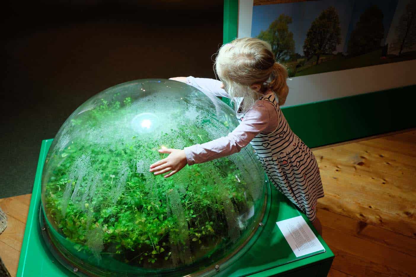 Luzern met kinderen natuurmuseum zwitserland