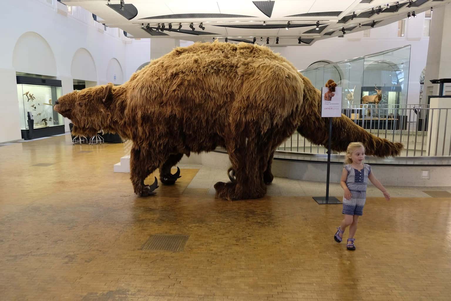 Zurich met kinderen Museum voor Zoölogie en Paleontologie