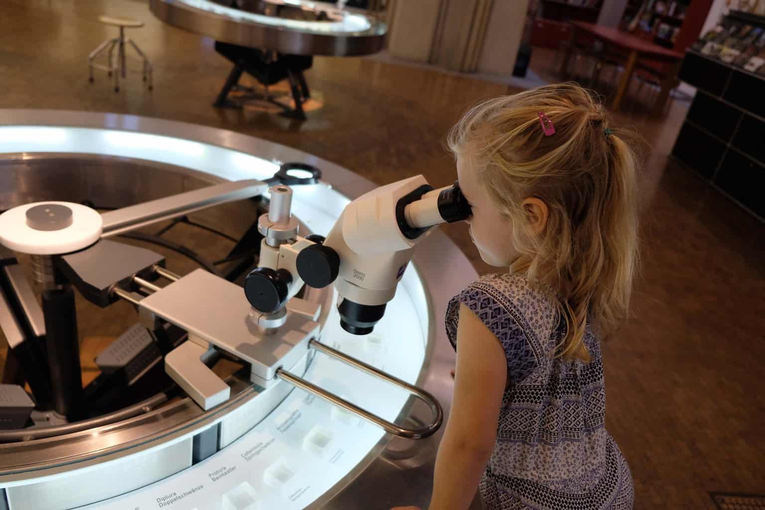 Zurich met kinderen Museum voor Zoölogie en Paleontologie