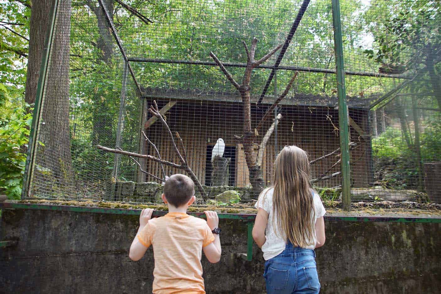 zwarte woud duitsland dierentuin