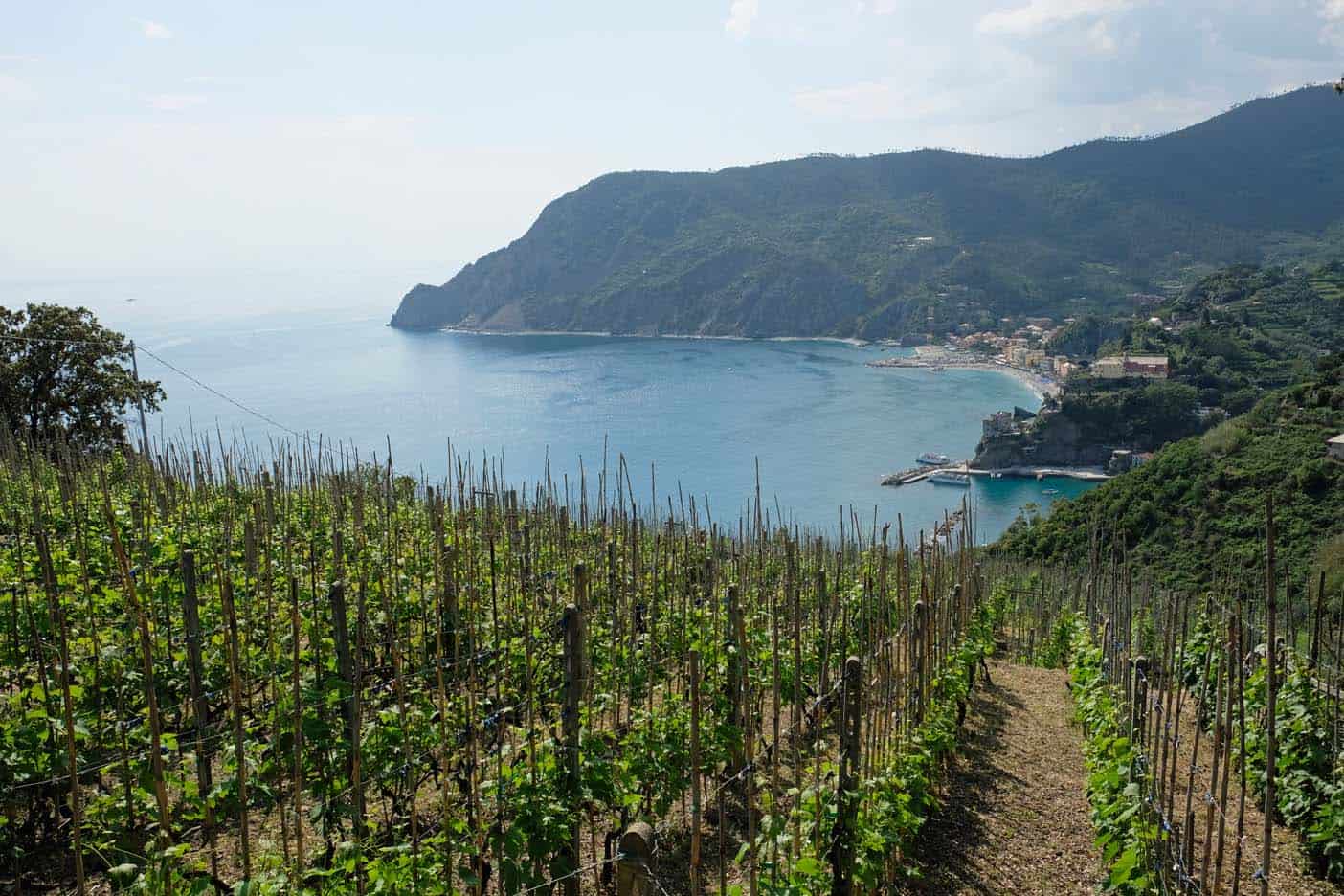 cinque terre wandelen met kind