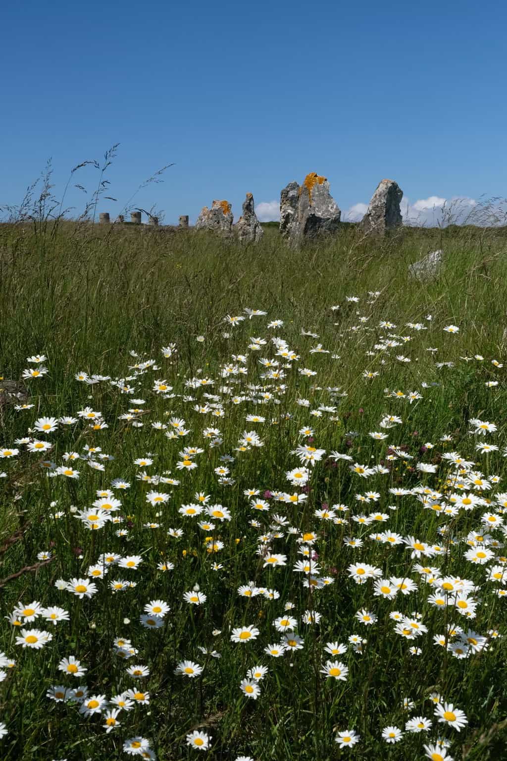 Bretagne Menhir